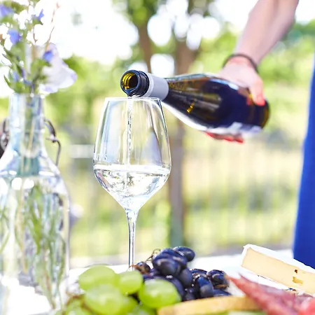 Patzay Borhotel מלון