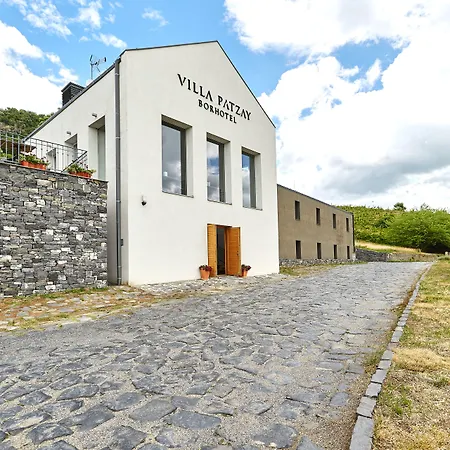 Patzay Borhotel מלון Badacsony