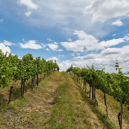 מלון Patzay Borhotel Badacsony