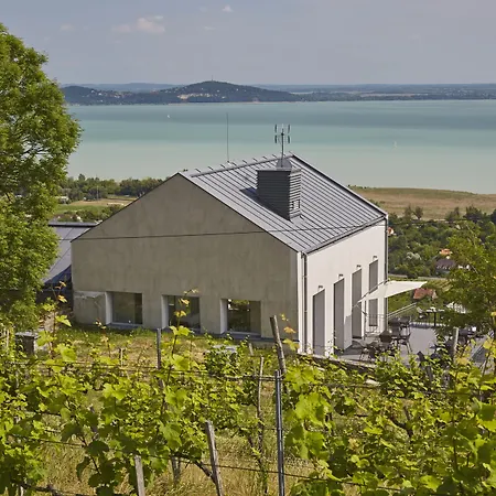 Patzay Borhotel מלון Badacsony