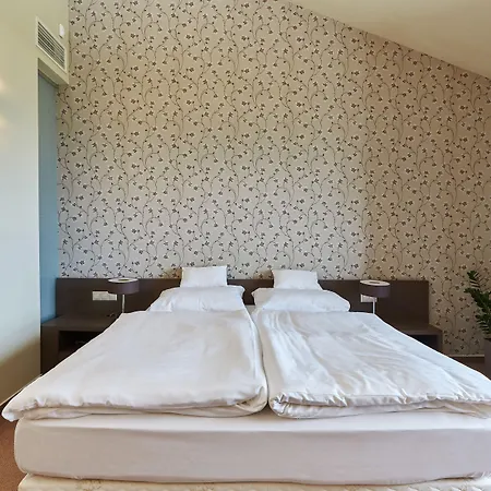 Patzay Borhotel