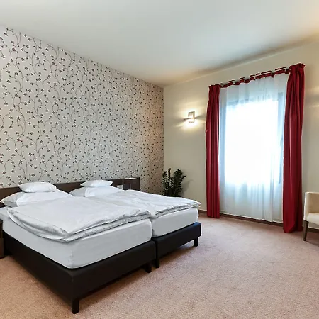 מלון Patzay Borhotel