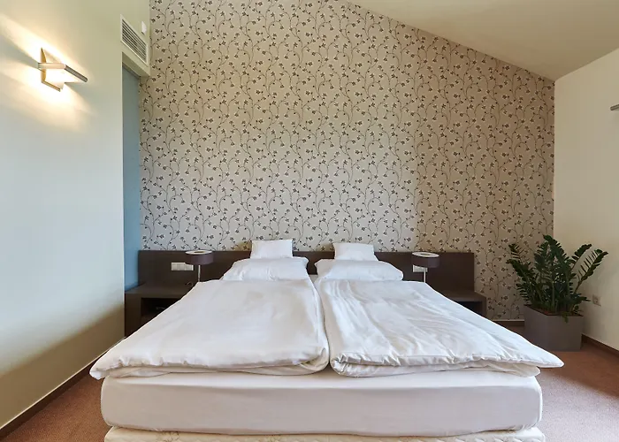Patzay Borhotel