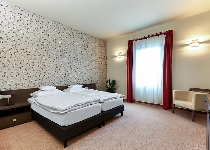 ホテル Patzay Borhotel